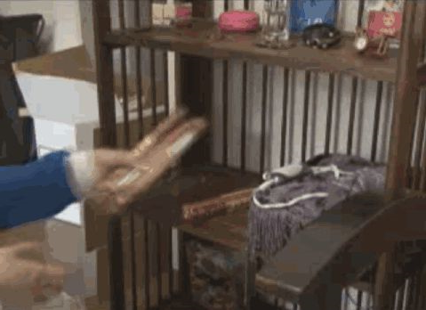 还原家私 还原家私